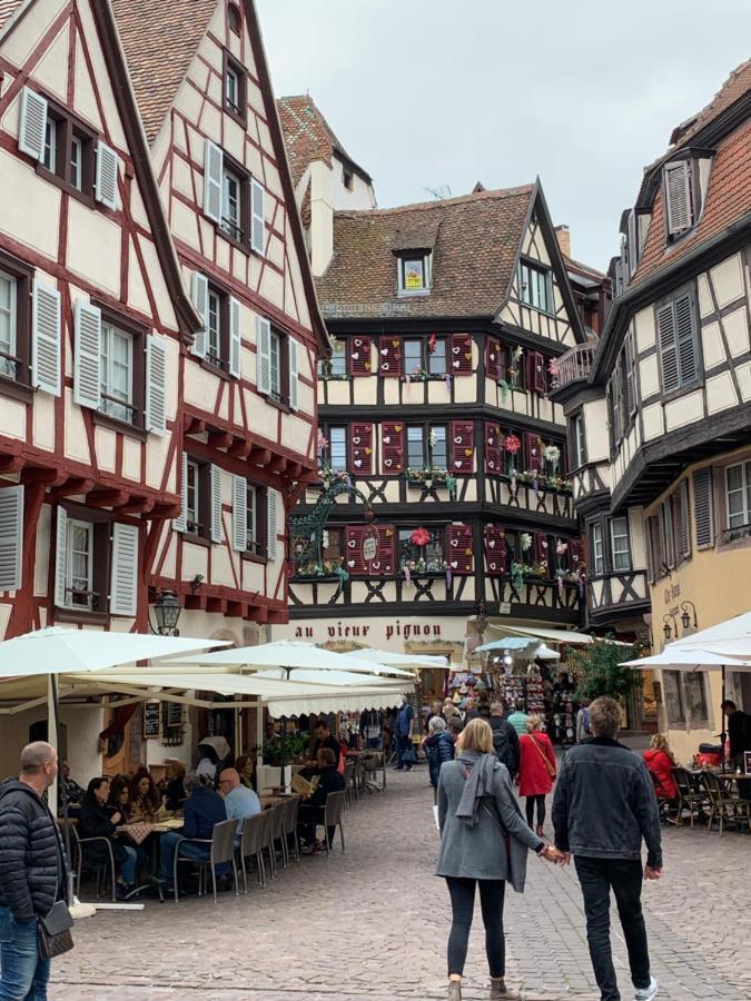 Appartamento Historical Town Center Spacious Flat Colmar